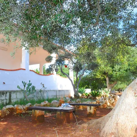 Il Trullo Di Pina A 2 Minuti Da Spiaggia Sabbiosa * Serranova