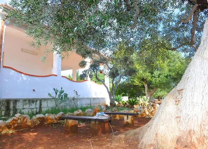 Il Trullo Di Pina A 2 Minuti Da Sabbiosa * Serranova